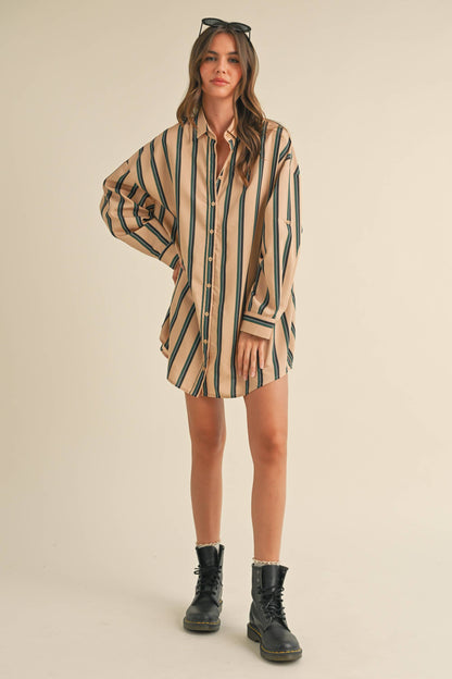 Carriage Stripe Shirt Dress