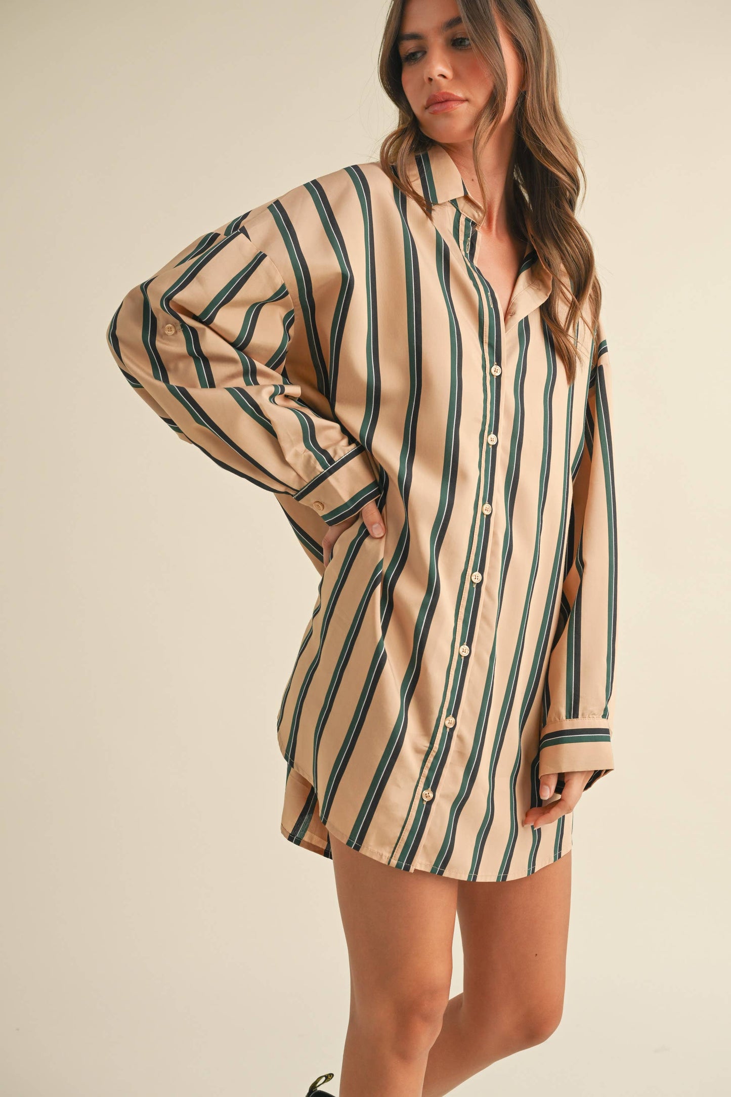 Carriage Stripe Shirt Dress